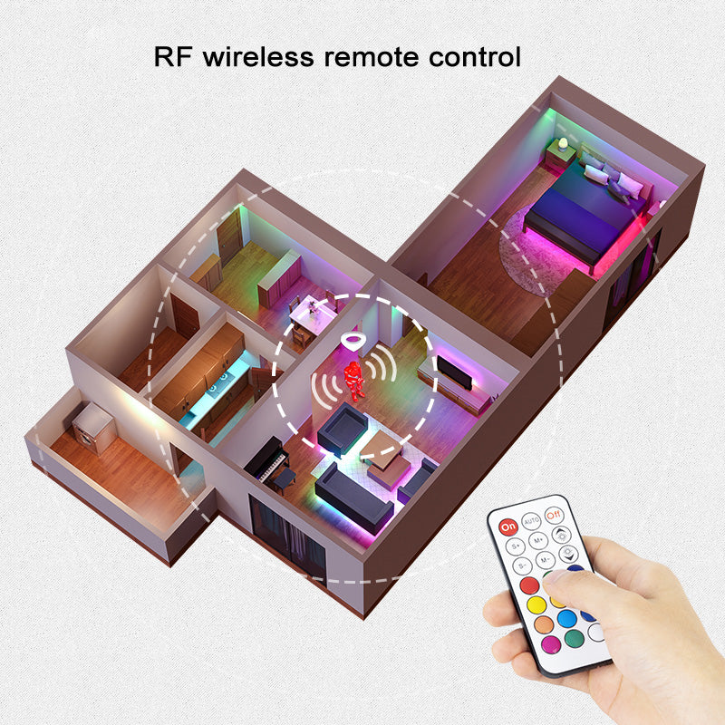 RF-Controller WS2815